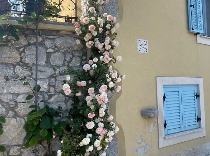 Krk